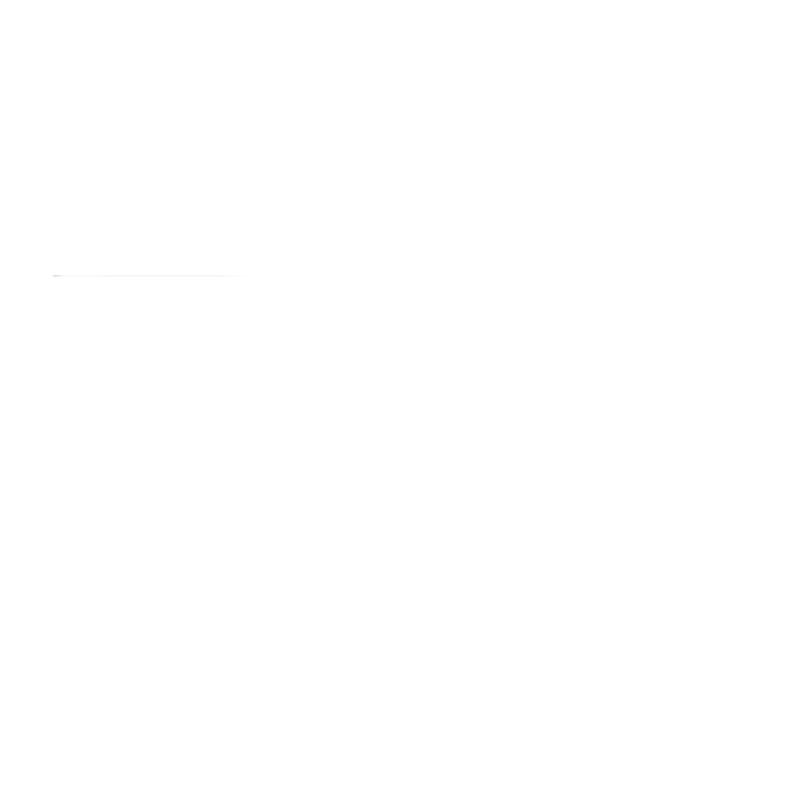 Zerion Logo